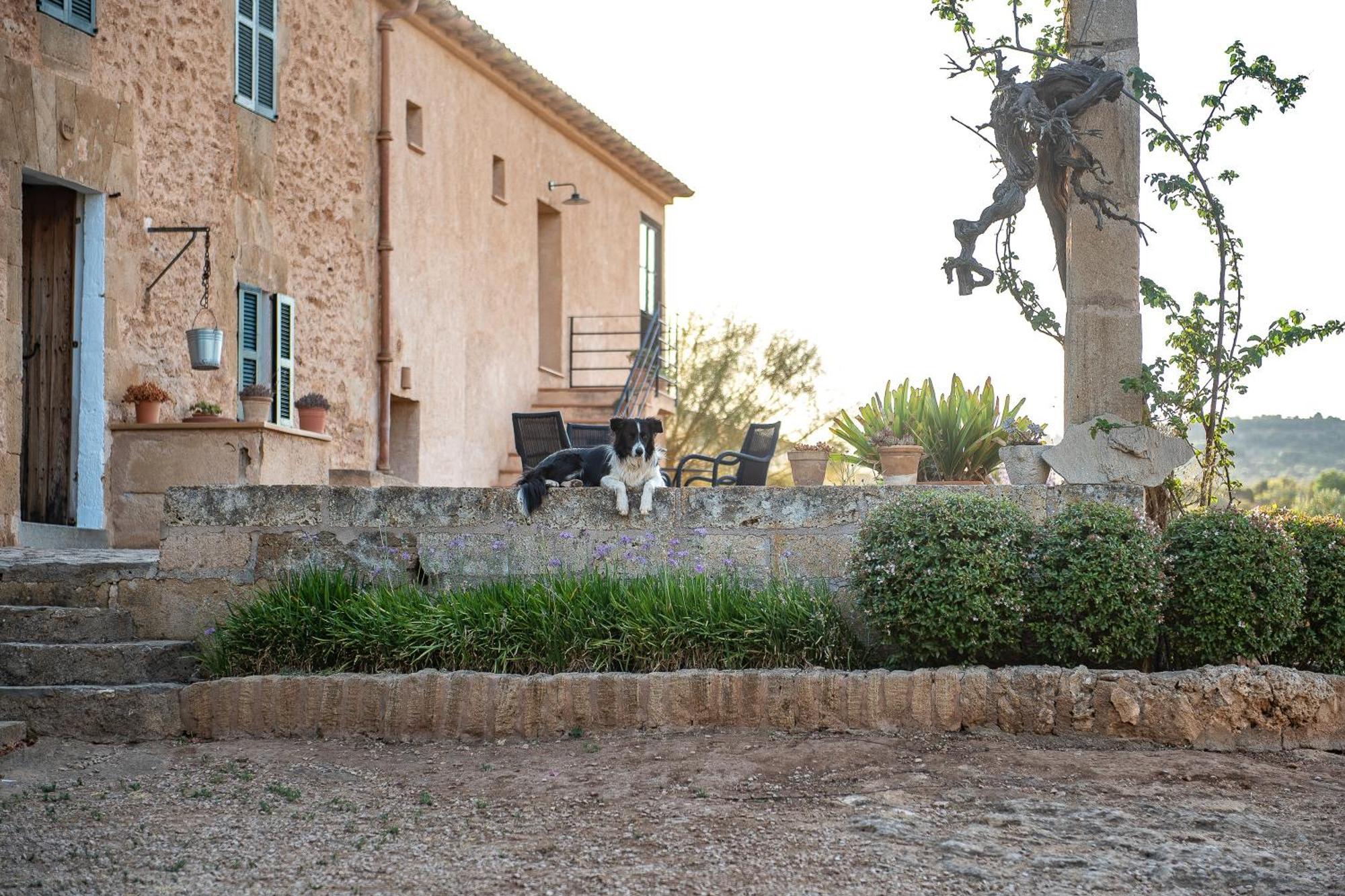 Sos Ferres D'en Morey Manacor  Exterior foto